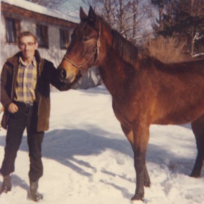 Nelson William Stearns