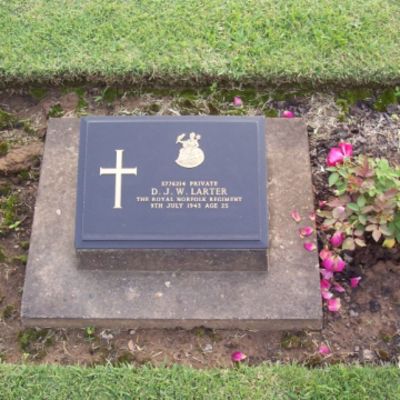 David  John Wighton Larter