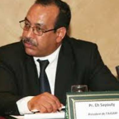 El Hassan  Sayouty
