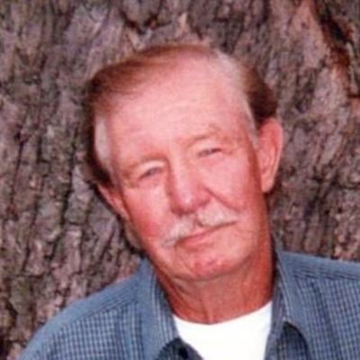 Larry  Stalker's Image