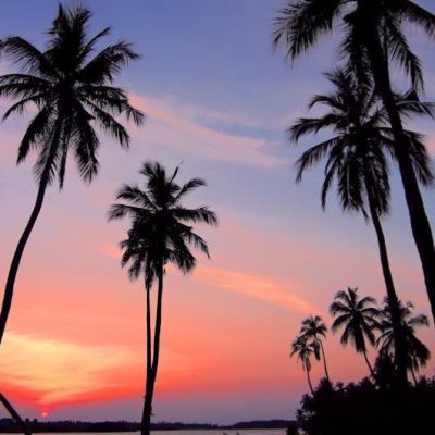 William Joseph Birkenberger's Image