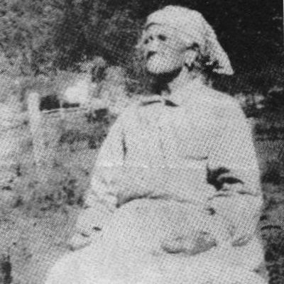 Labana  Jarvis
