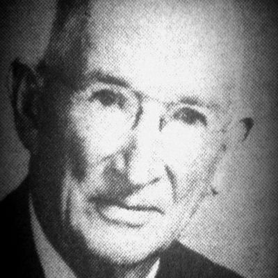 Zelotus  Holcomb