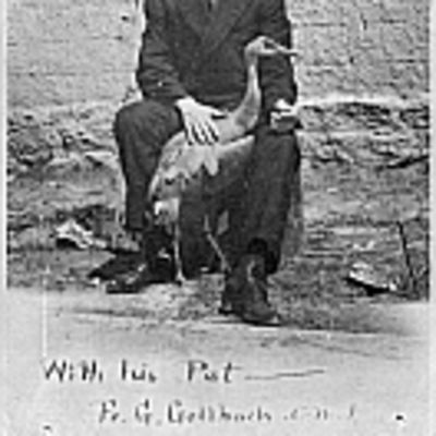 Gustav  Gollbach