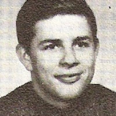 Raymond  Schmidt
