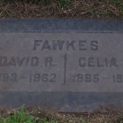 David  Fawkes