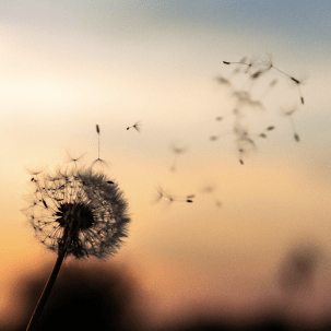 Leavitt Funeral Home Memorials and Obituaries We Remember